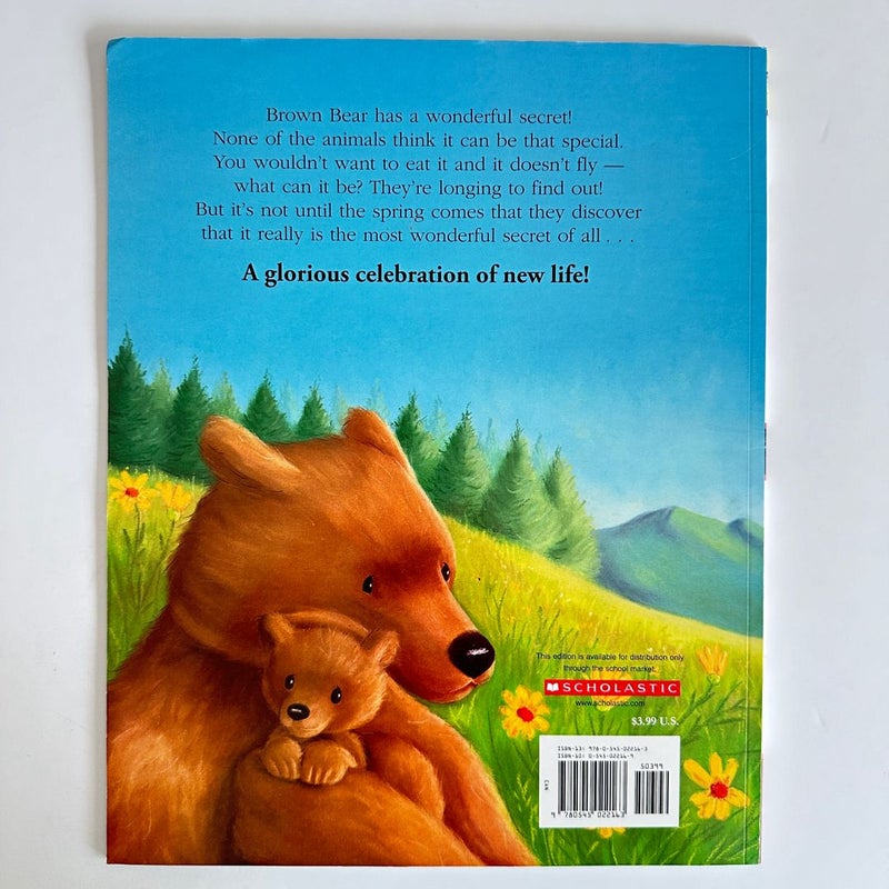 Brown Bear's Wonderful Secret
