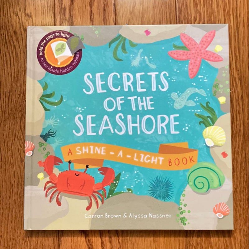 Secrets of the Seashore