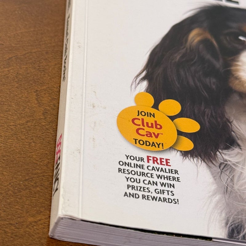 Cavalier King Charles Spaniel