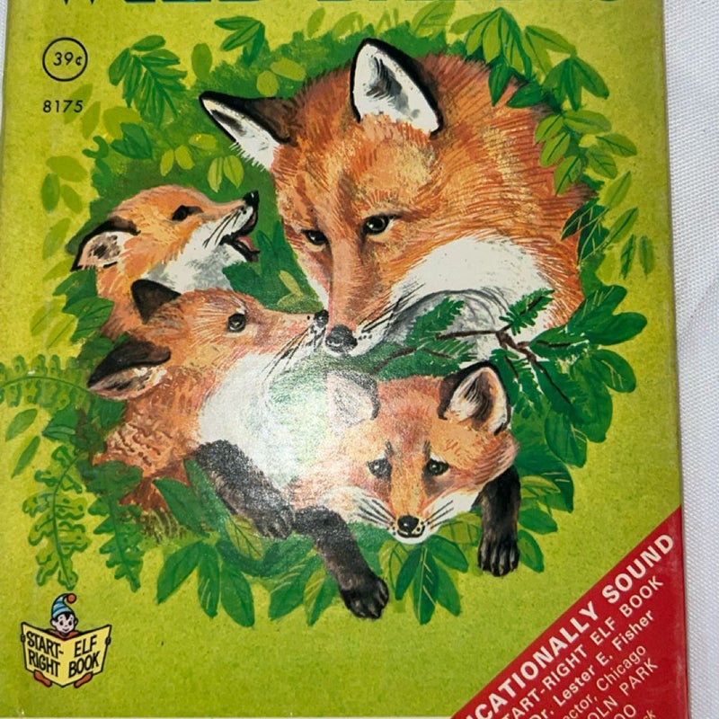 Wild babies, 1971