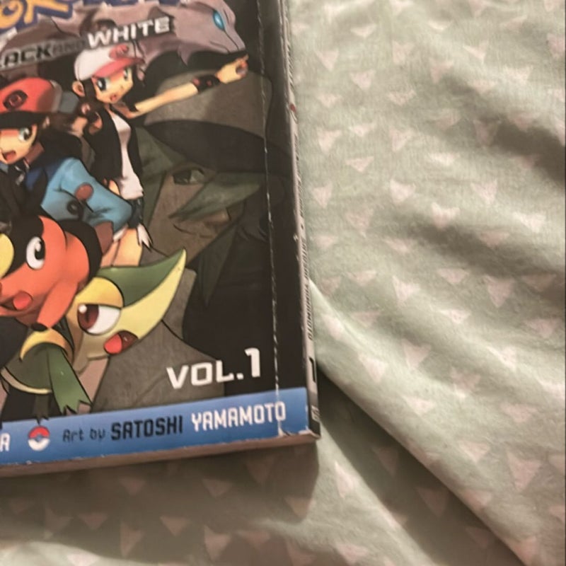 Pokémon Black and White, Vol. 1