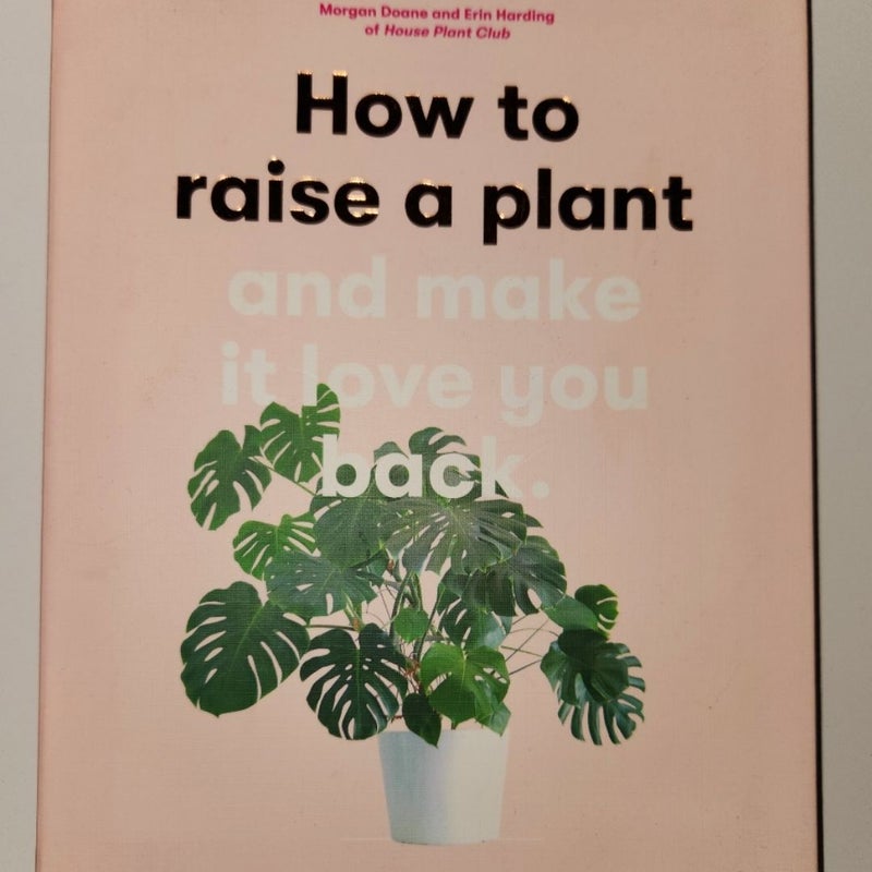 How to Raise a Plant