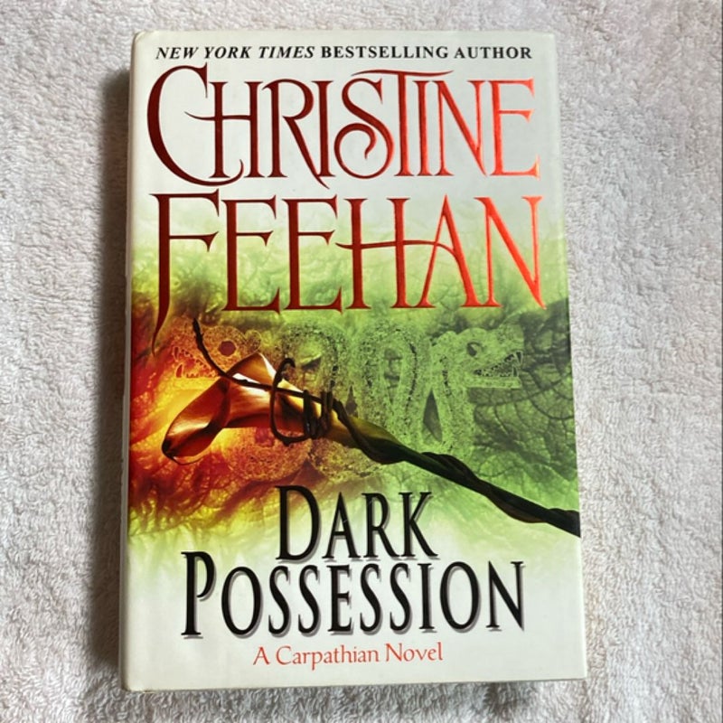 Dark Possession 3C