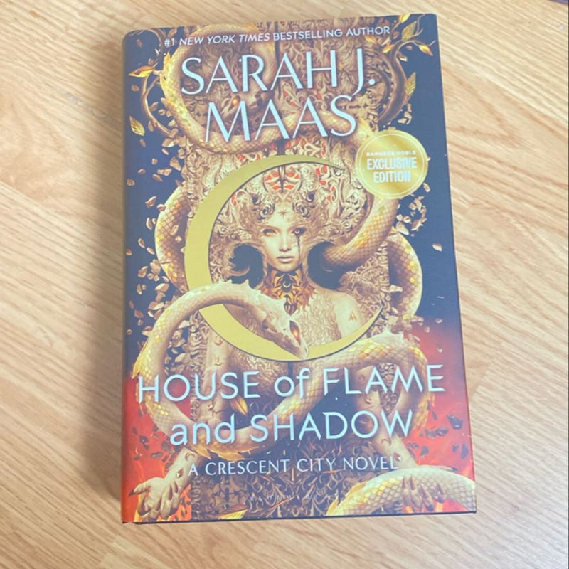 House of Flame and Shadow 