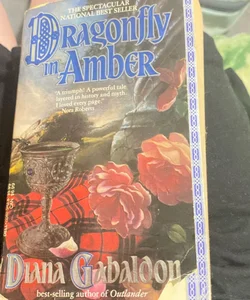 Dragonfly in amber