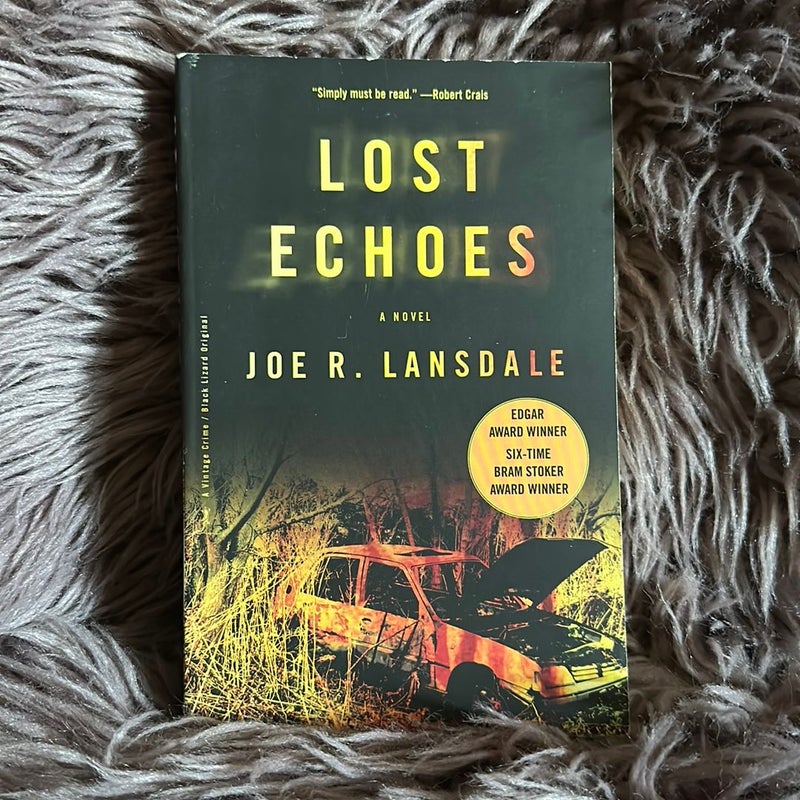 Lost Echoes