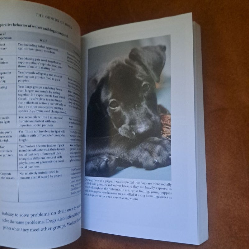 The Genius of Dogs