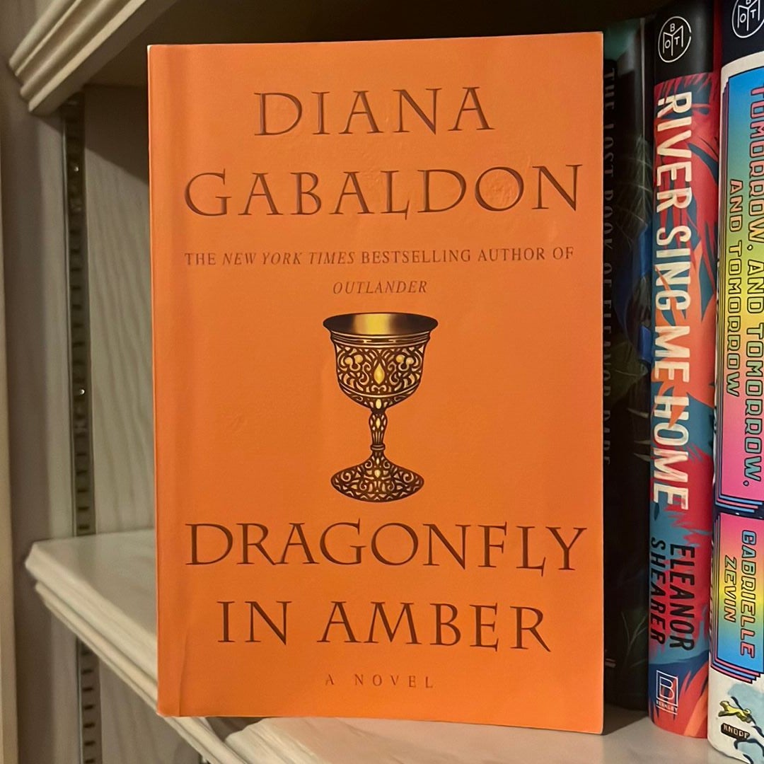 Dragonfly in Amber