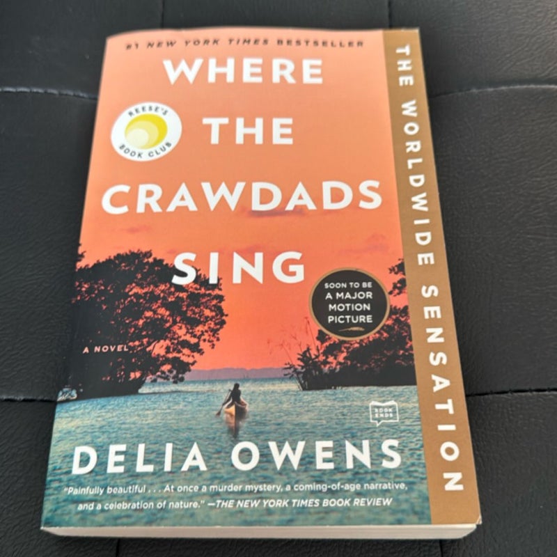 Where the Crawdads Sing