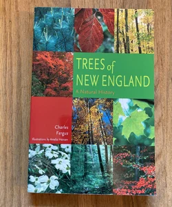 Trees of New England