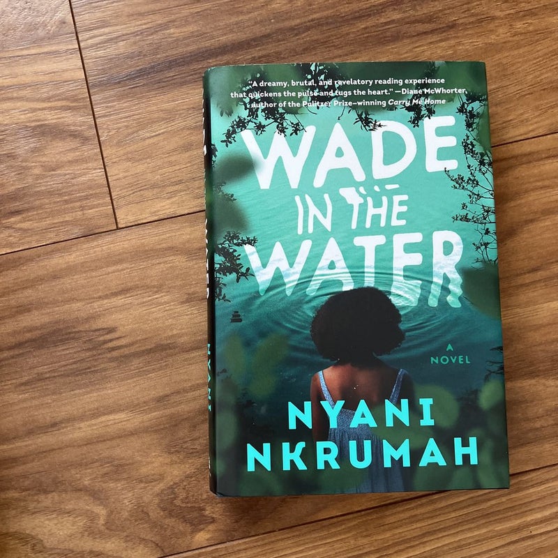 Wade in the Water