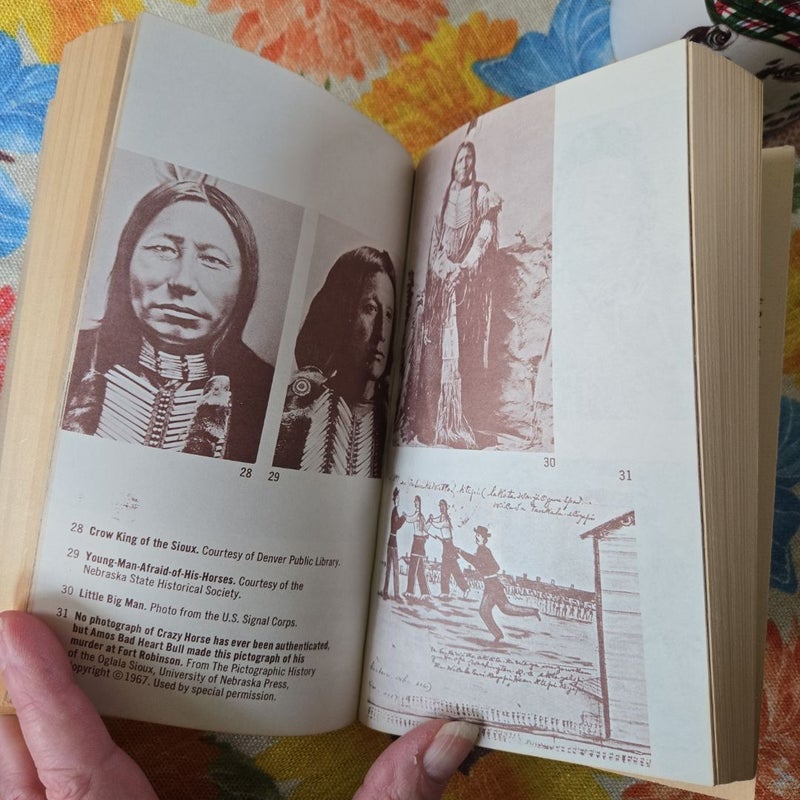 Bury My Heart At Wounded Knee