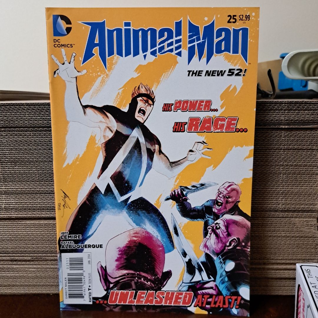 Animal Man 25