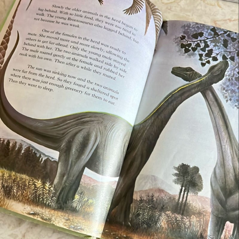 Bundle of 3 assorted dinosaur books