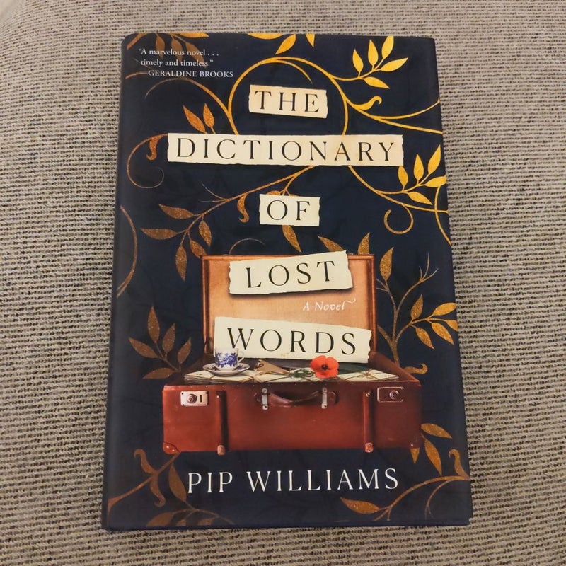 The Dictionary of Lost Words