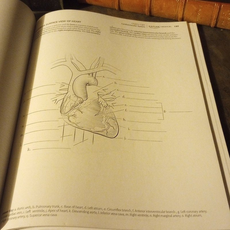 Anatomy Coloring Book