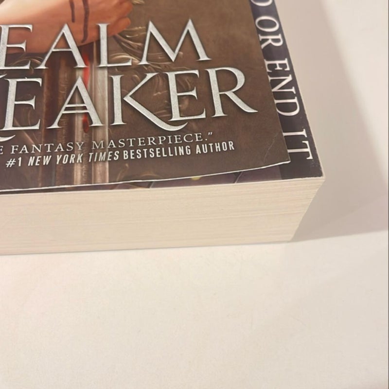 Realm Breaker