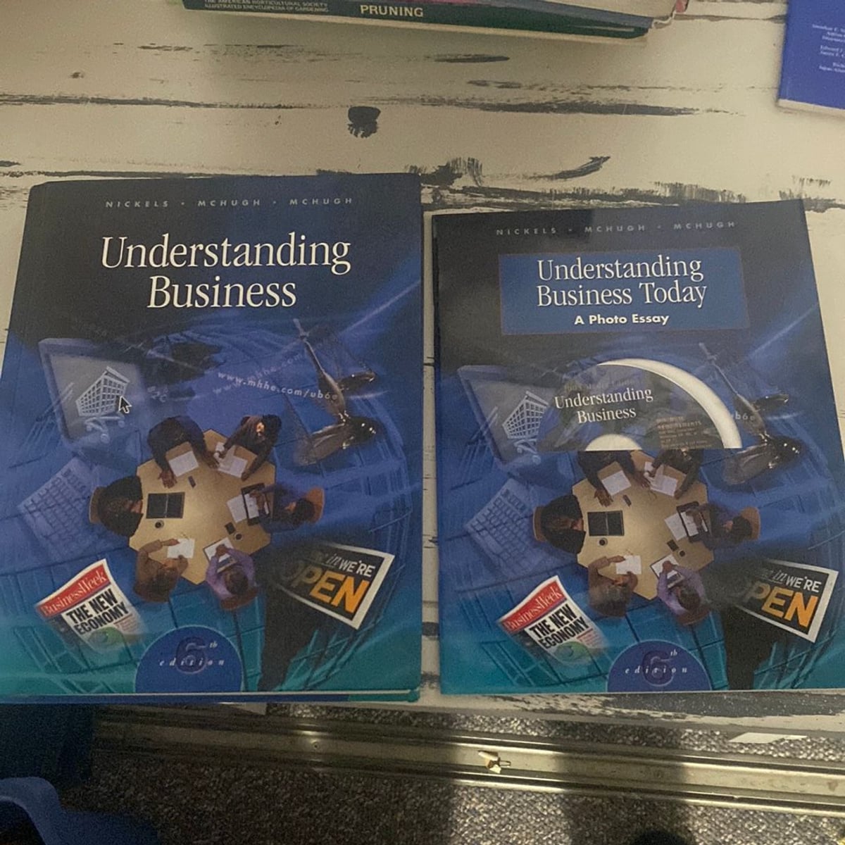 Understanding business by william g nickels james mchugh susan mchugh
