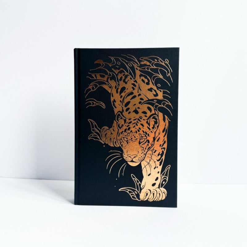 The Prince Without Sorrow (Illumicrate Exclusive Edition)