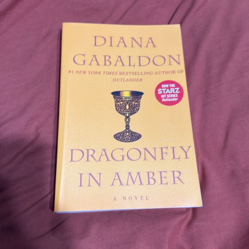 Dragonfly in Amber
