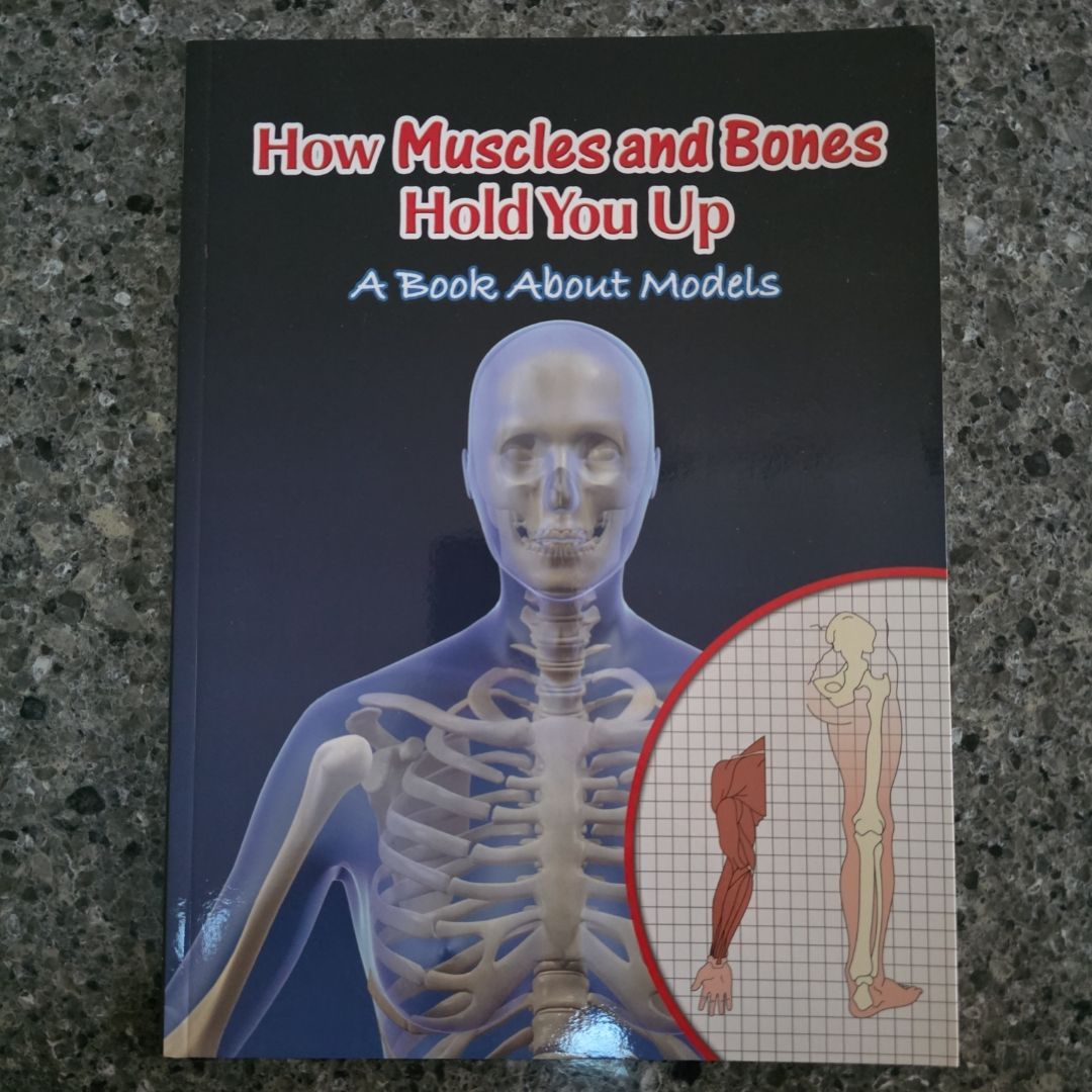 How Muscles and Bones Hold You Up