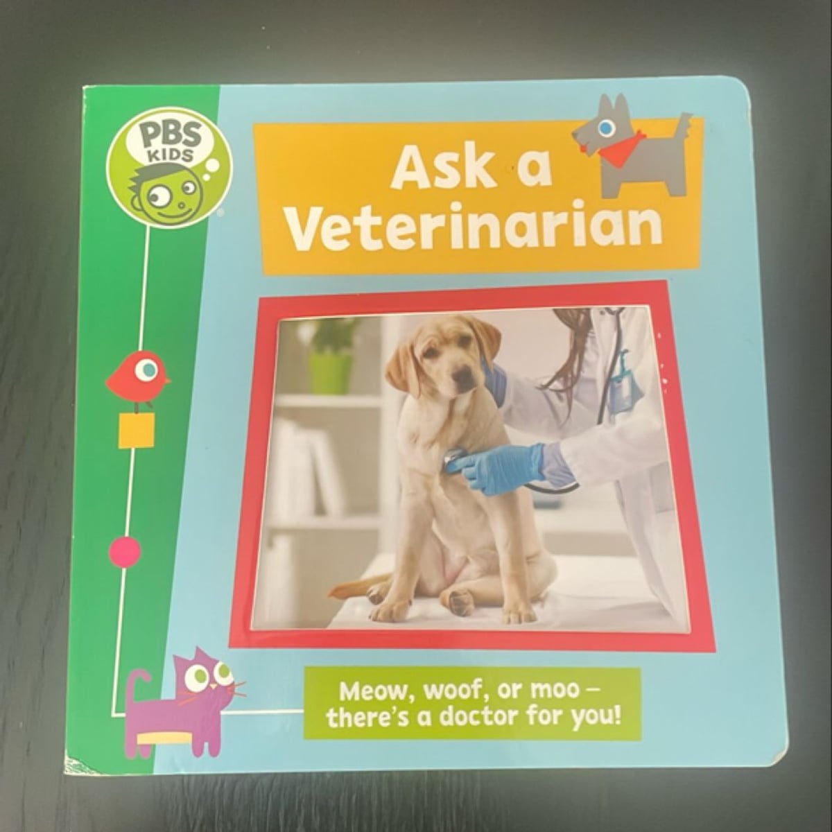 Picture of PBS KIDS Ask a Veterinarian by Jaye Garnett