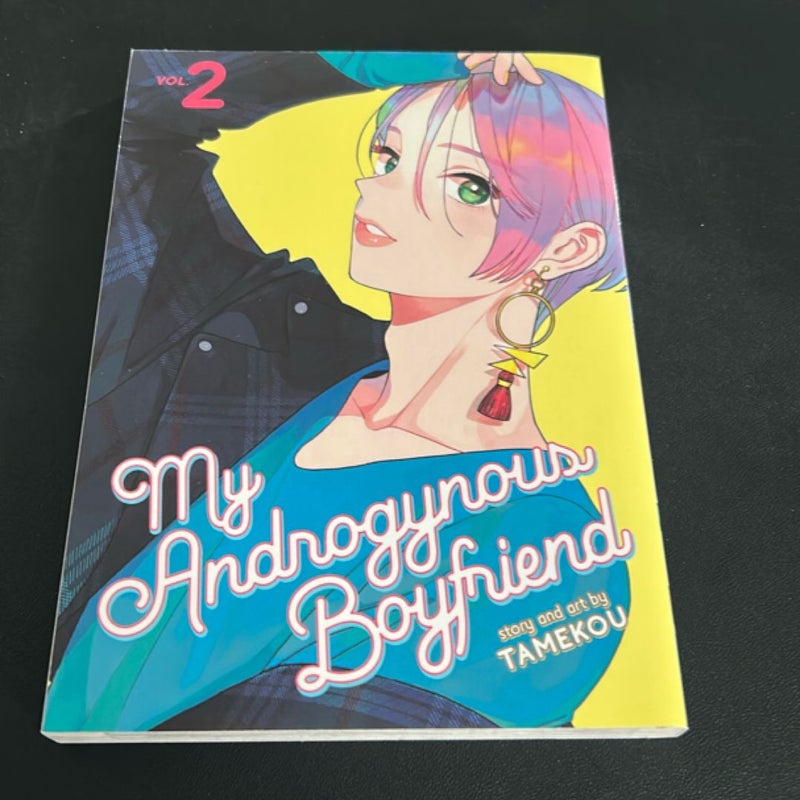 My Androgynous Boyfriend Vol. 2