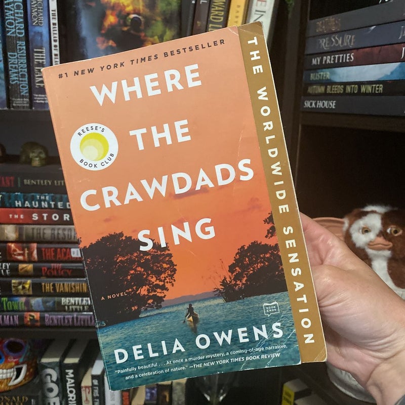 Where the Crawdads Sing