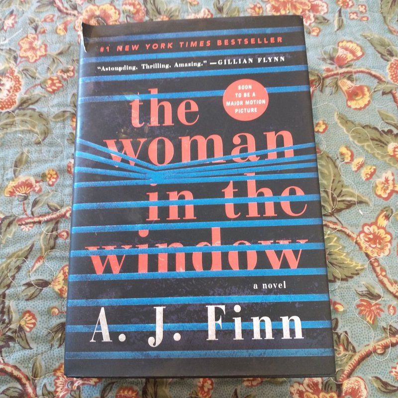 The Woman in the Window