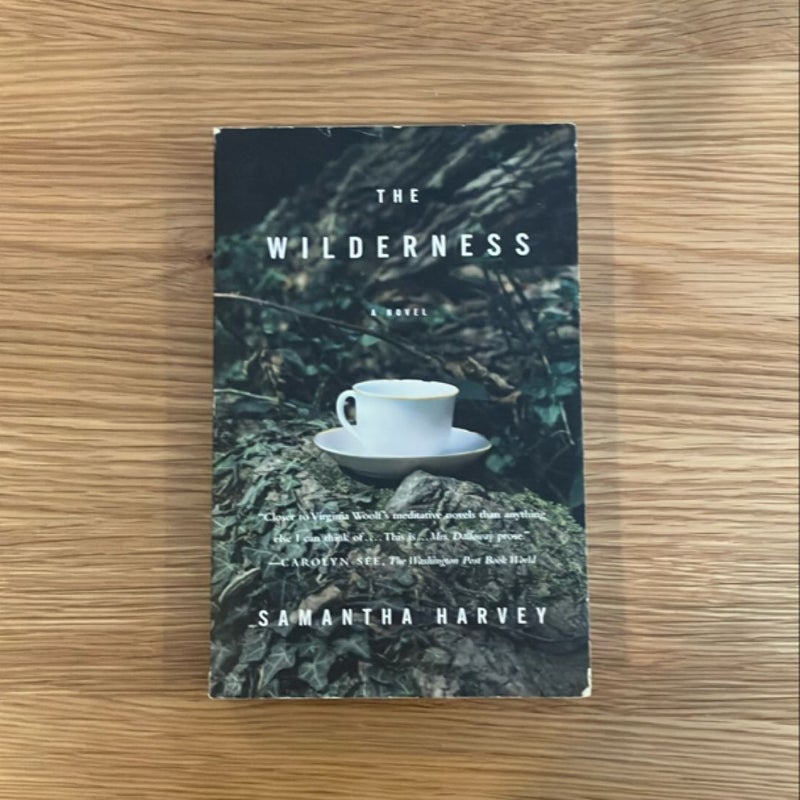 The Wilderness