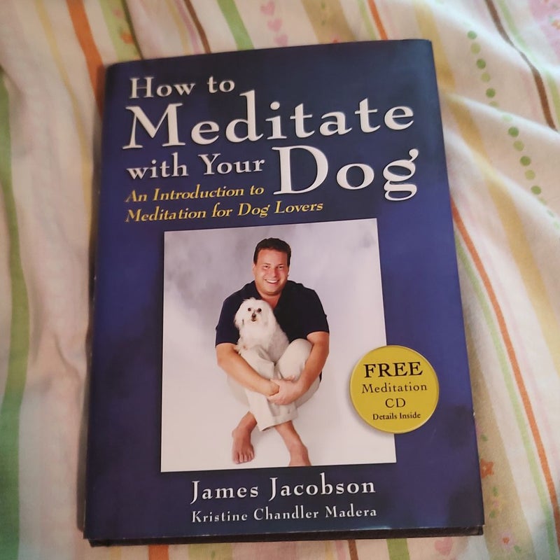 How to Meditate with Your Dog