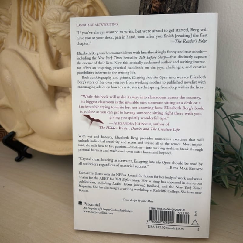 Escaping into the Open