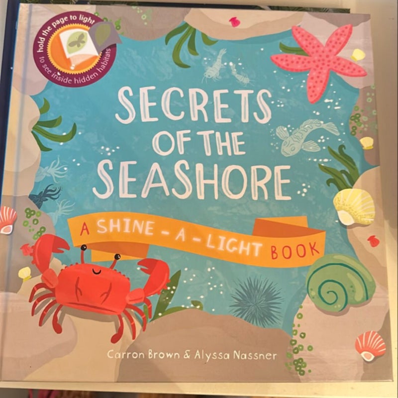 Secrets of the Seashore