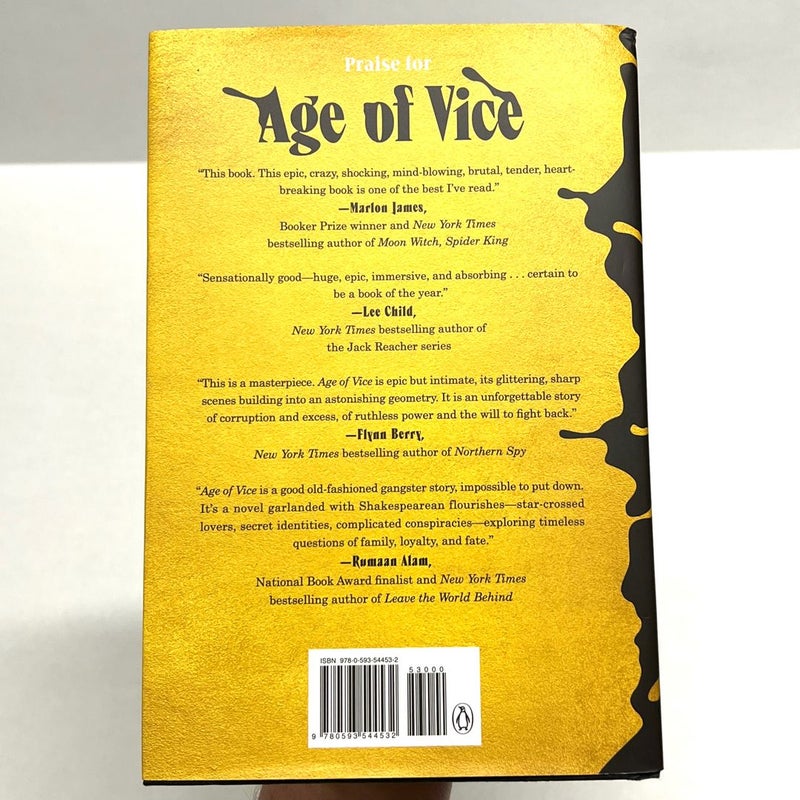 Age of Vice A Novel by Deepti Kapoor Hardback with dust cover 