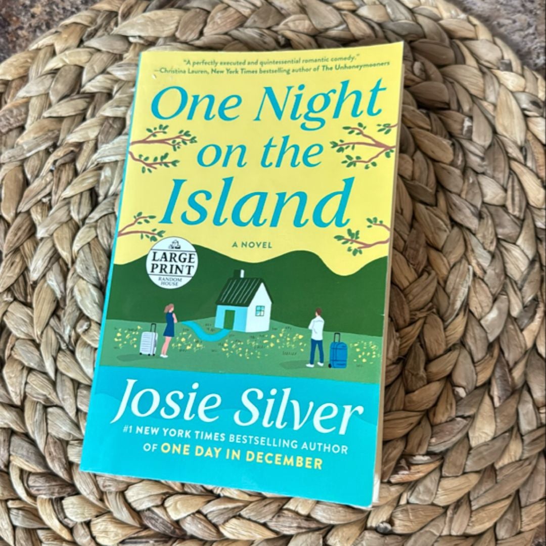 One Night on the Island