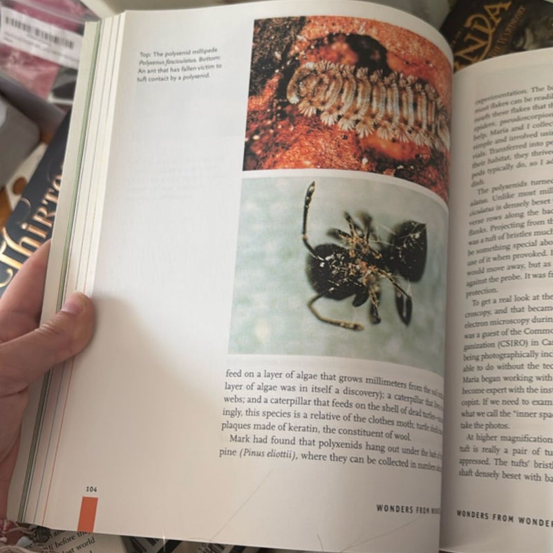 For Love of Insects