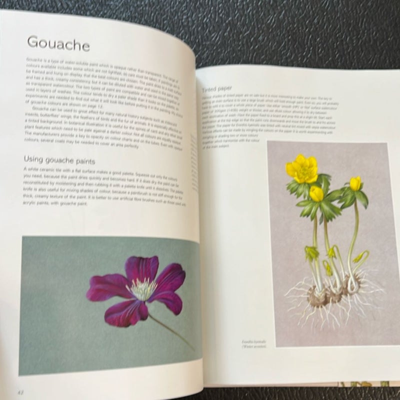 Kew Book of Botanical Illustration