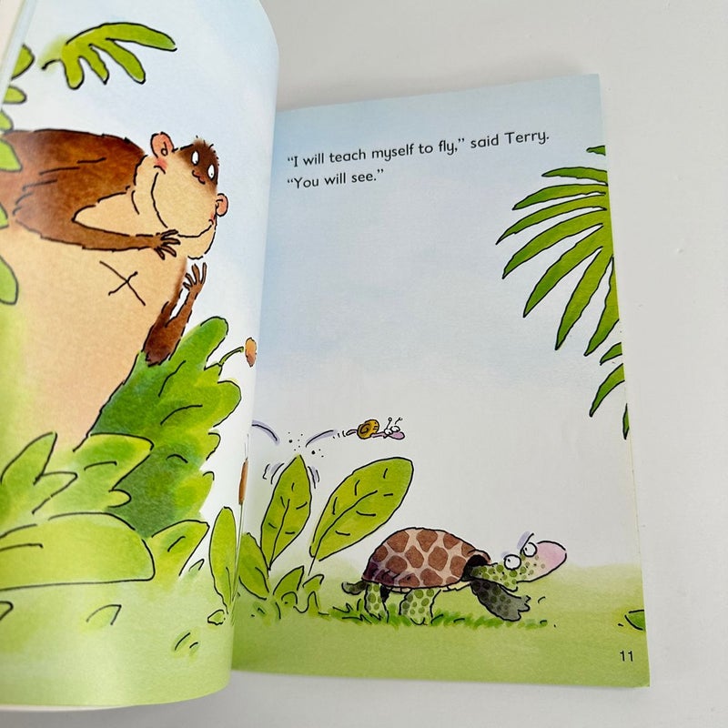 The Foolish Turtle, Early Reader