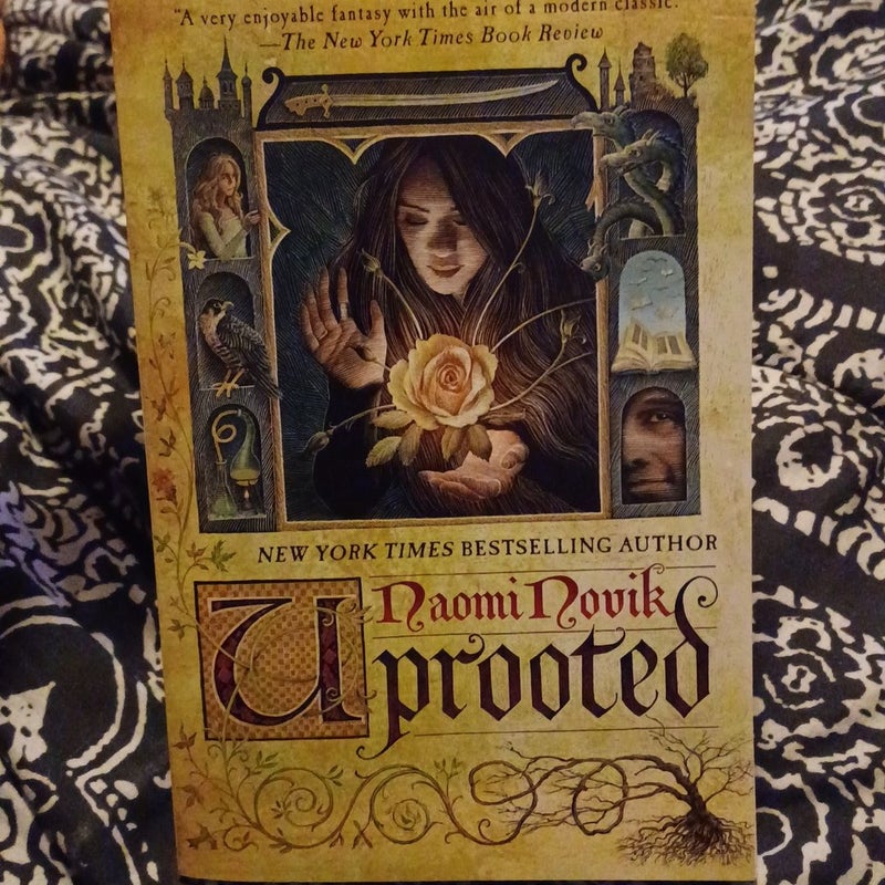 Uprooted by Naomi Novik, Paperback