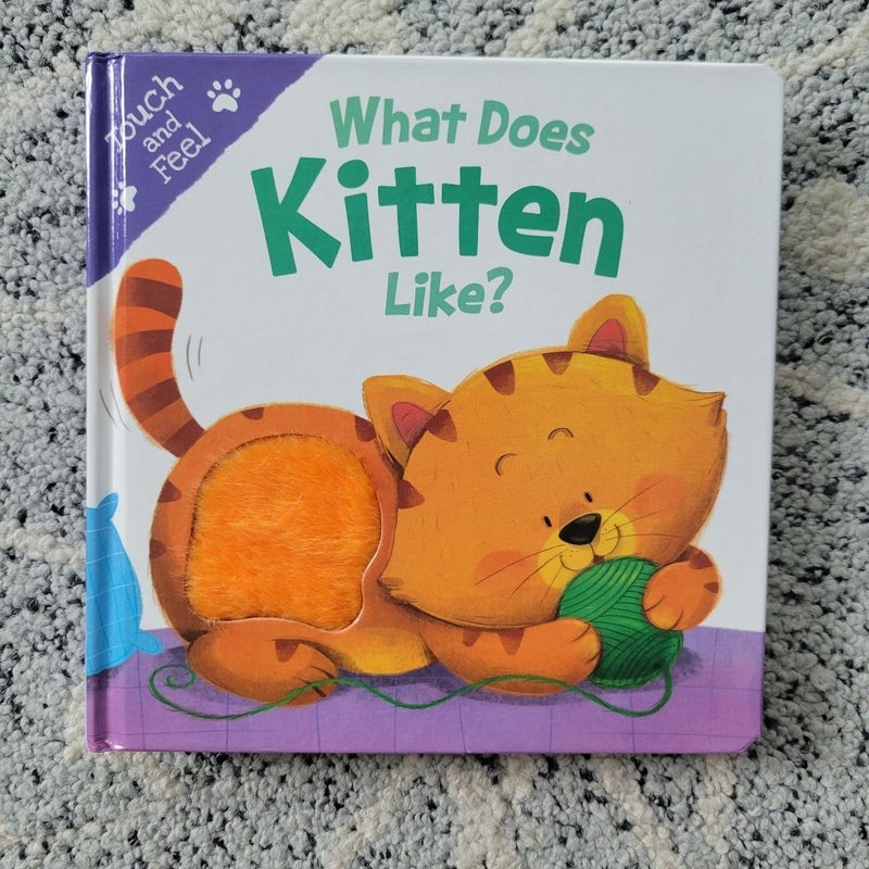 What Does Kitten Like?