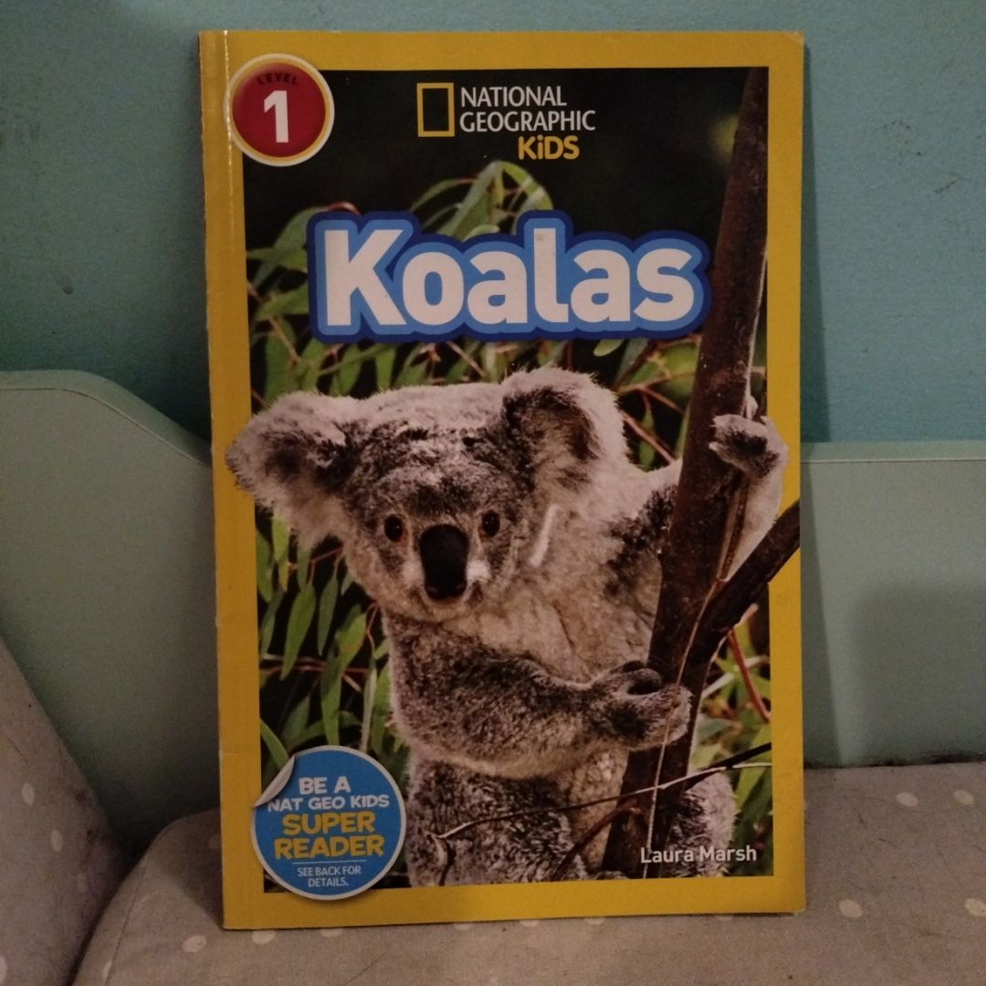 Koalas (National Geographic Kids Readers, Level 1)