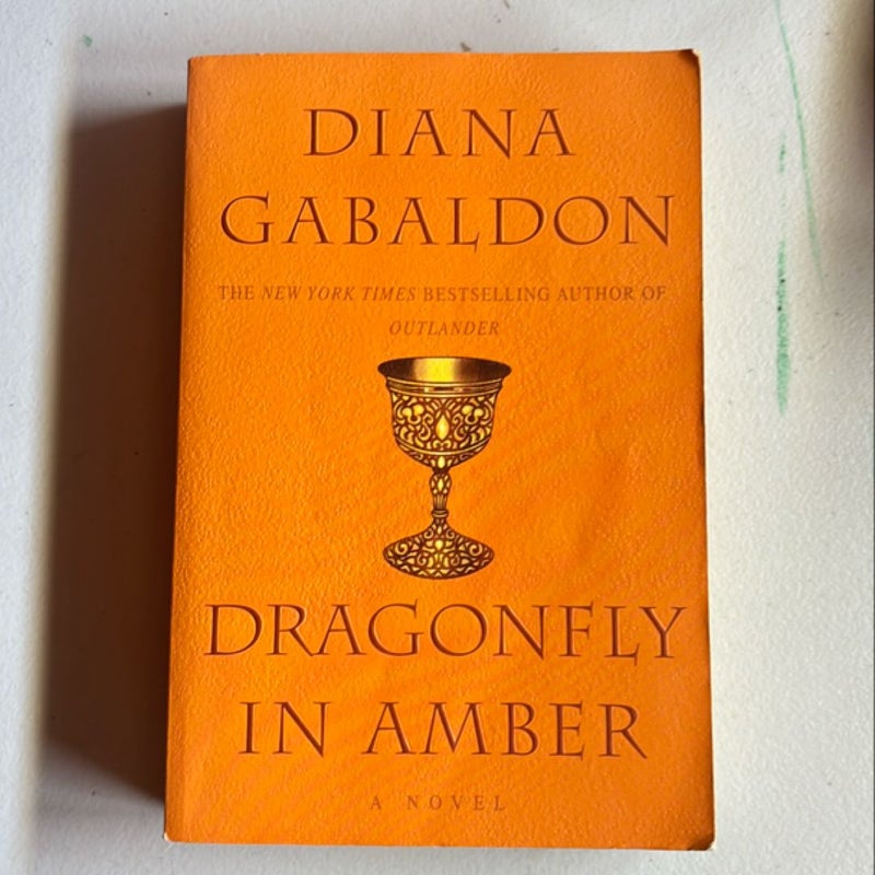 Dragonfly in Amber