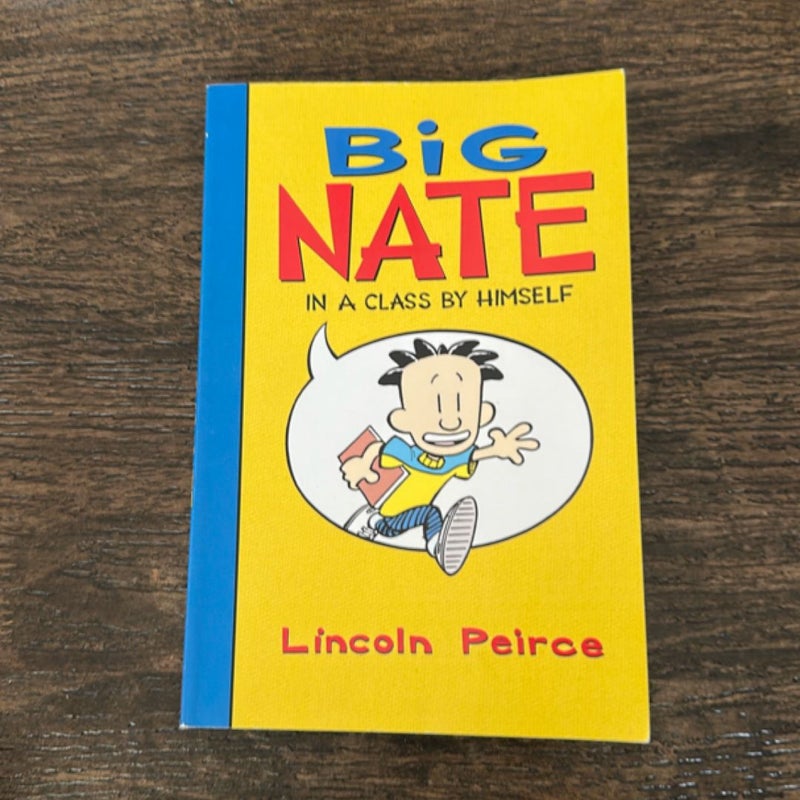 Big Nate: In a Class by Himself