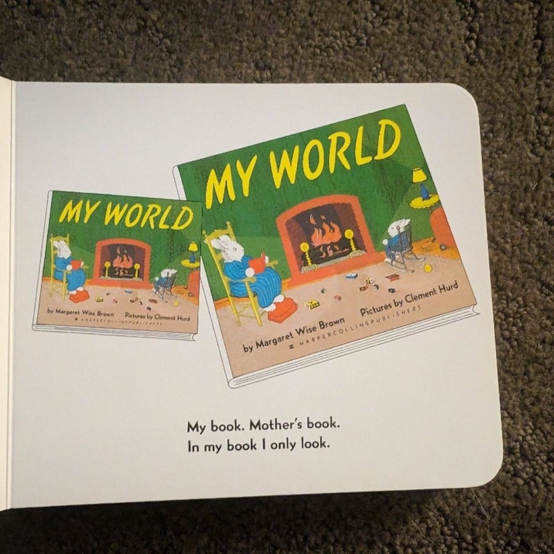 My World Board Book