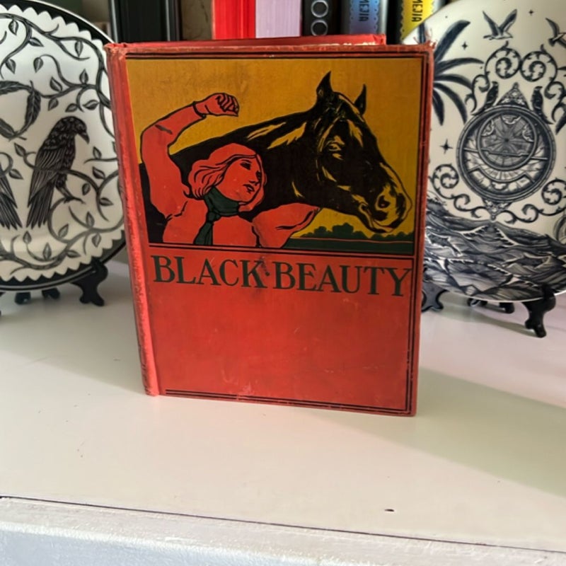 Black Beauty