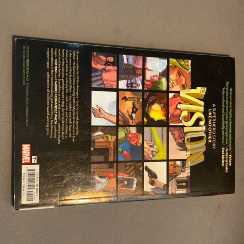 Vision: the Complete Collection