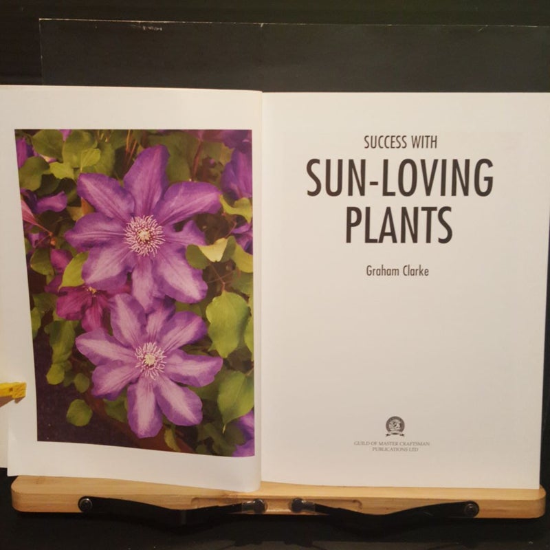 Success with sun loving plants