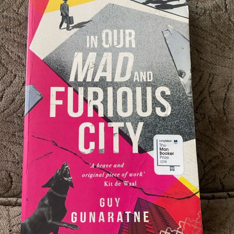 In Our Mad and Furious City 