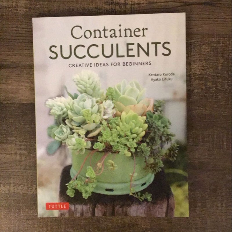 Container Succulents