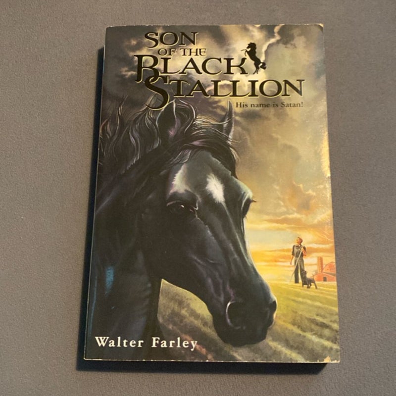 Son of the Black Stallion
